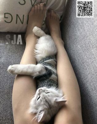 《女朋友的味道2》