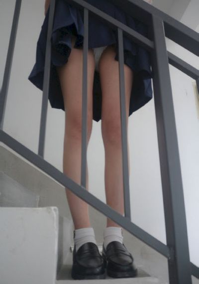 骄阳似我电视剧免费观看完整版