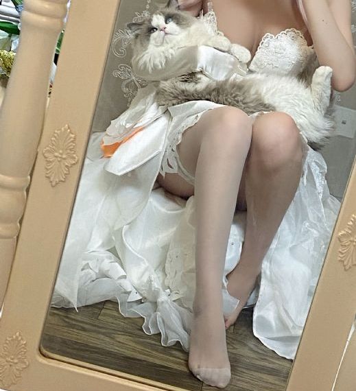 欧美透逼视频