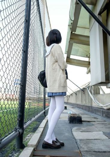 金瓶双梅