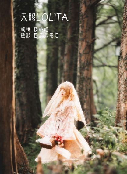 枫与铃樱花动漫在线观看